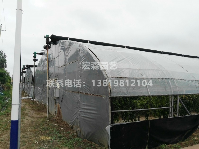 温室大棚遮阳降温注意点。宁波温室大棚厂家 