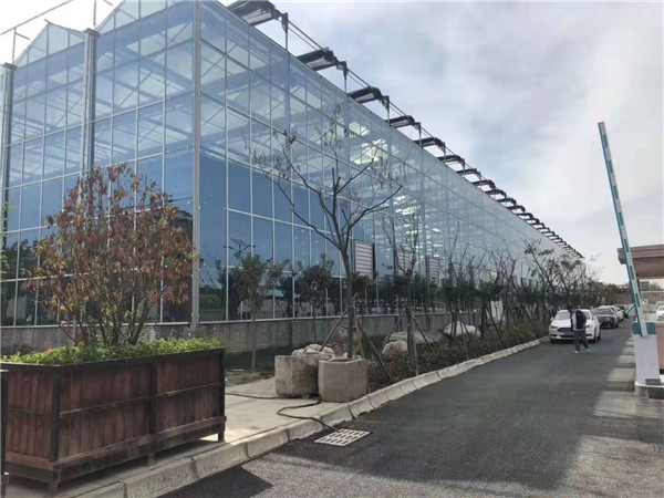 温室大棚蔬菜遇到低温冷害的时候如...